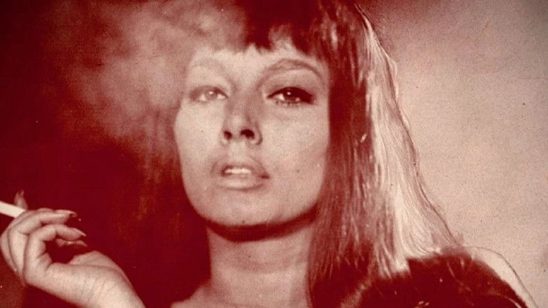 Backdrop image for movie Jungfrau aus zweiter Hand