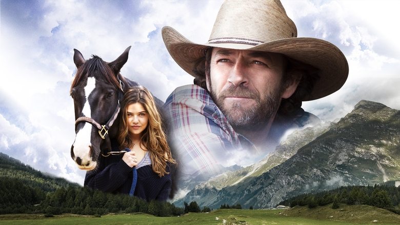 Backdrop image for movie Race To Win