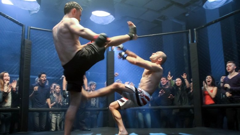 Backdrop image for movie The Fight Rules