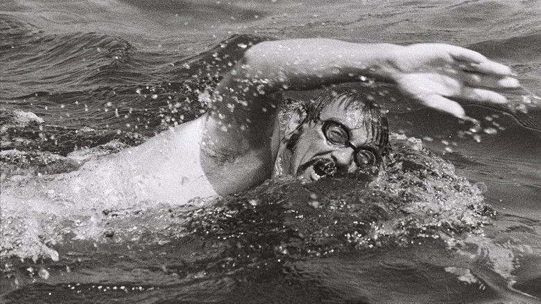 Backdrop image for movie Veljko of the Sea