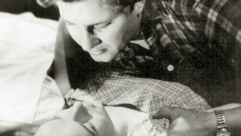 Backdrop image for movie Sillankorvan emäntä