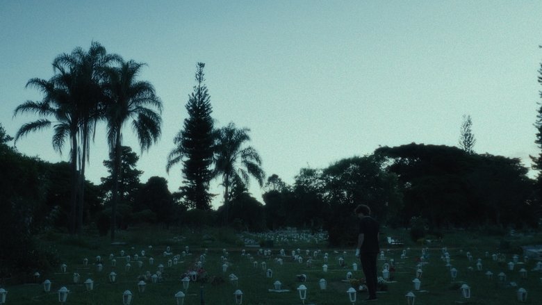 Backdrop image for movie Lágrimas Holandesas
