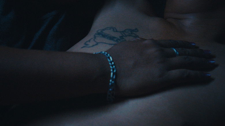 Backdrop image for movie Someday the night will come