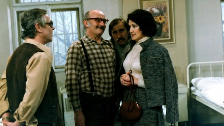 Backdrop image for movie Tažní ptáci