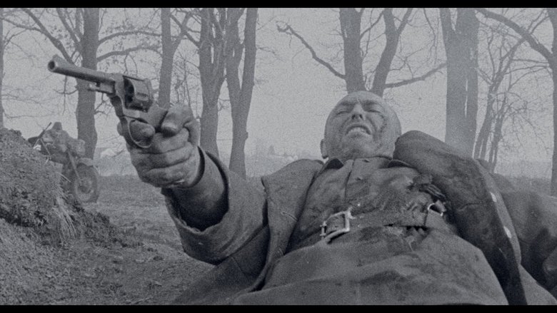 Backdrop image for movie The Medic