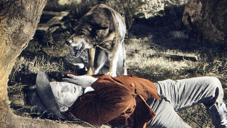 Backdrop image for movie Hills of Kentucky