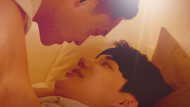 Backdrop image for movie A First Love Story