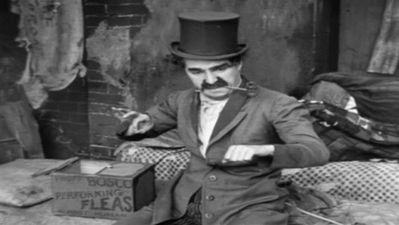 Backdrop image for movie The Professor