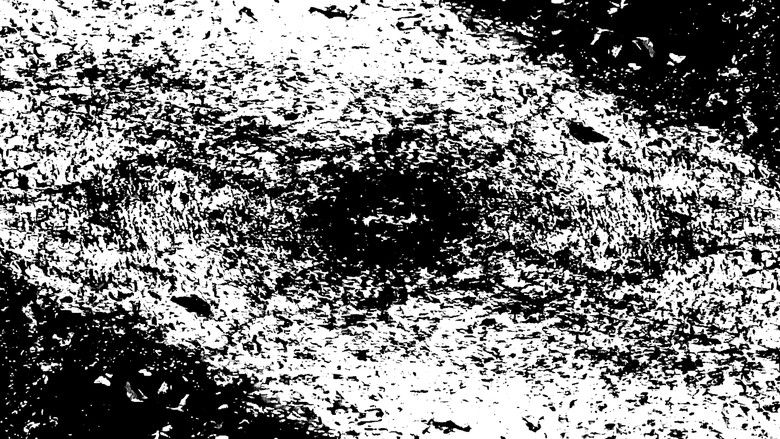 Backdrop image for movie Insect Theory