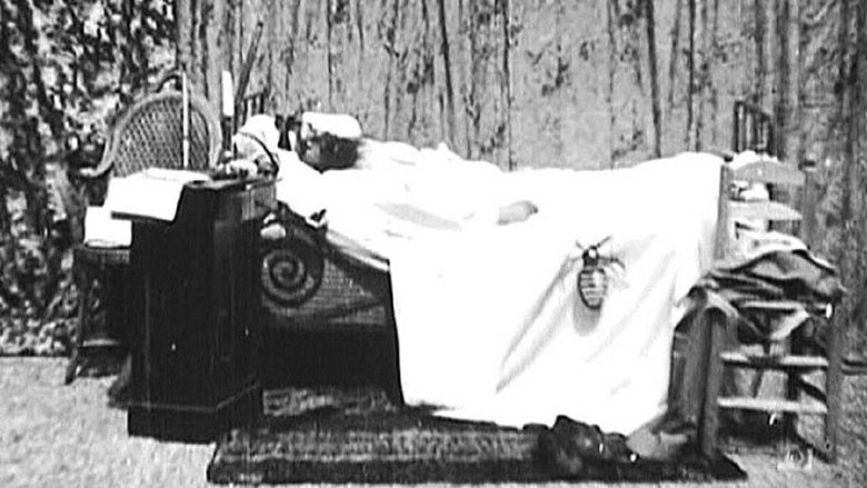 Backdrop image for movie A Terrible Night
