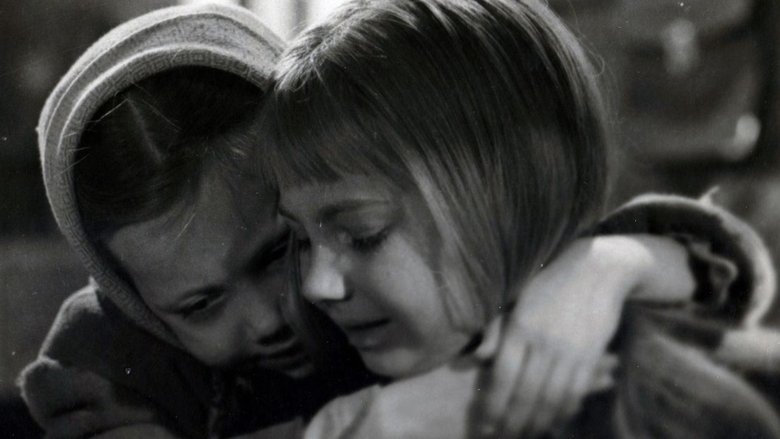 Backdrop image for movie You Are Not an Orphan