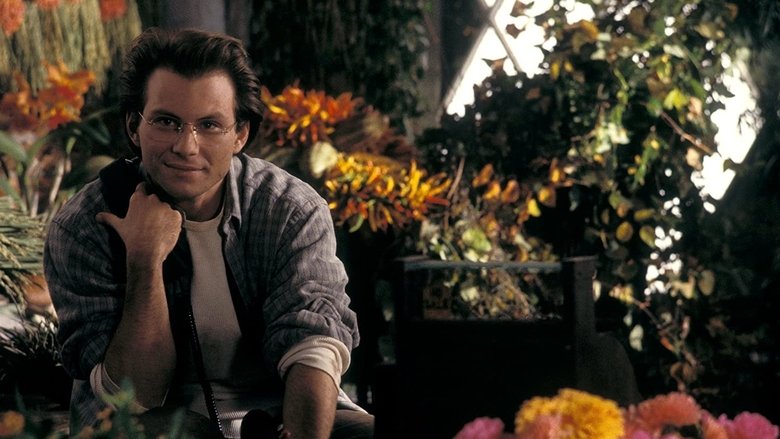 Backdrop image for movie Bed of Roses
