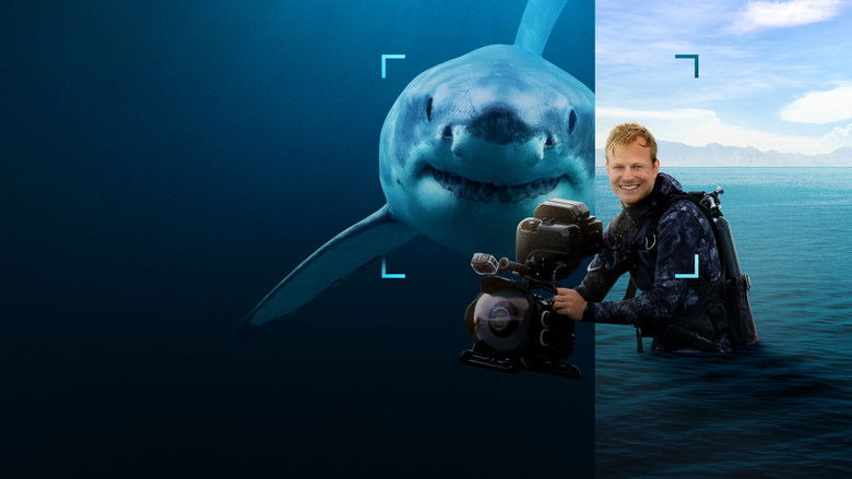 Backdrop image for movie Sharks Up Close with Bertie Gregory