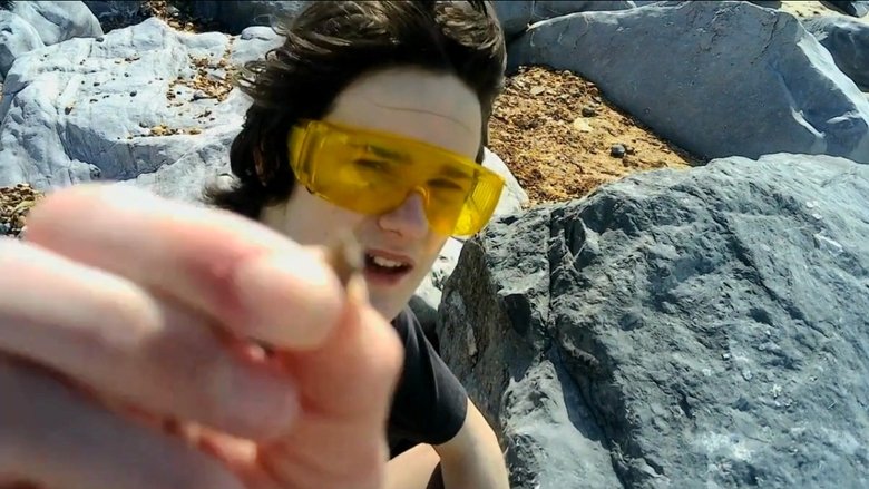 Backdrop image for movie The Life of a Rock Smasher