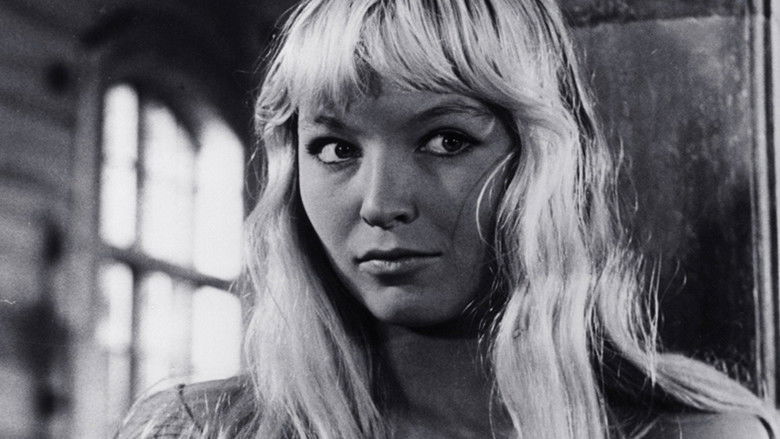 Backdrop image for movie The Blonde Witch