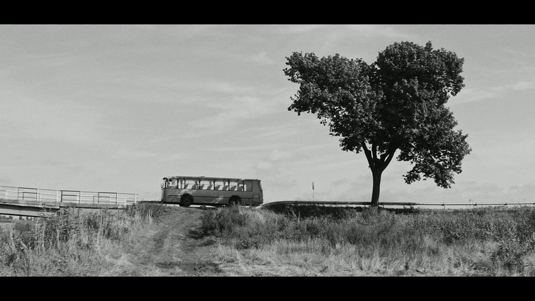 Backdrop image for movie The Stop