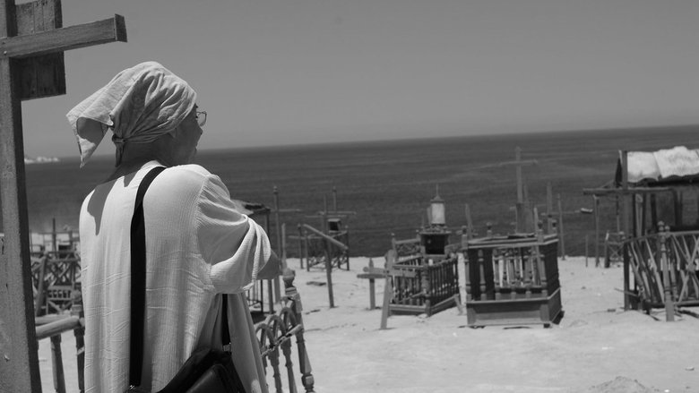 Backdrop image for movie Pedro Lemebel: Corazón en Fuga