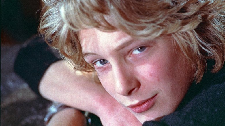 Backdrop image for movie The Most Beautiful Boy in the World