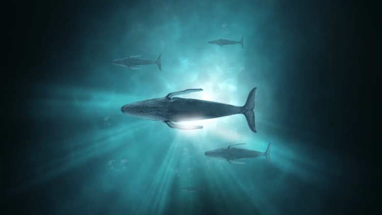 Backdrop image for movie Sonic Sea