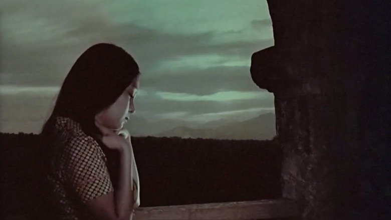 Backdrop image for movie Three Years Without God