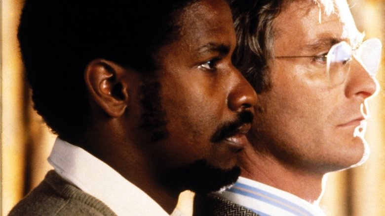 Backdrop image for movie Cry Freedom