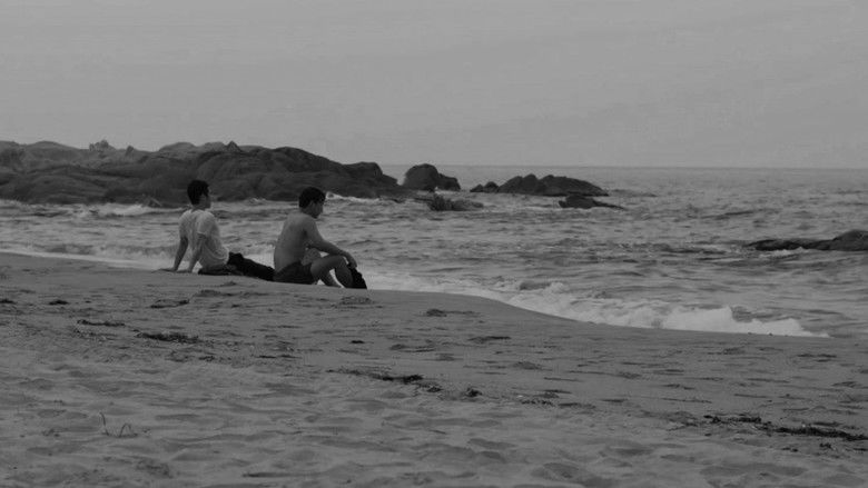 Backdrop image for movie Black Summer