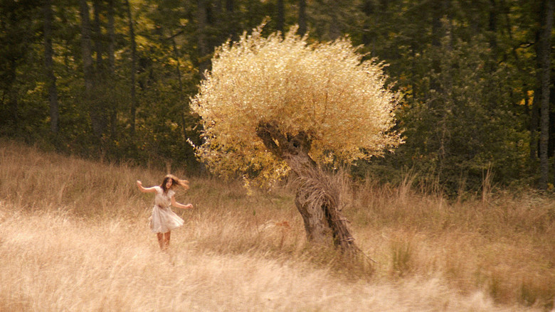 Backdrop image for movie Lucania