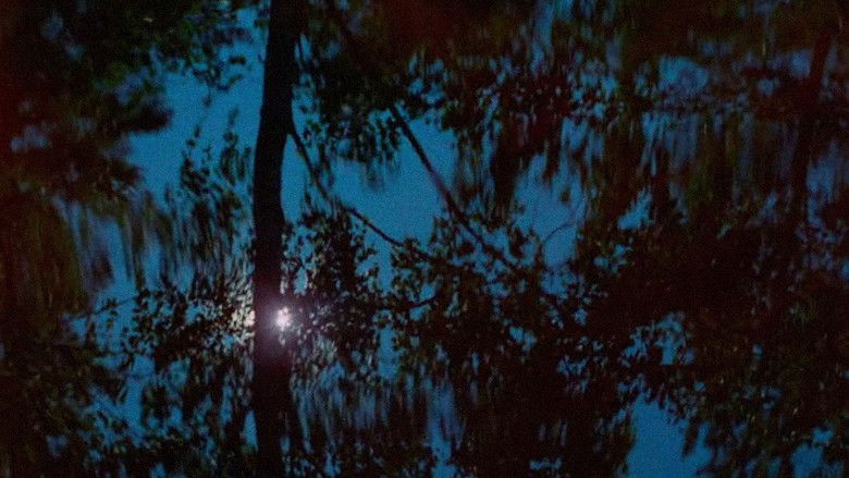 Backdrop image for movie Shudders