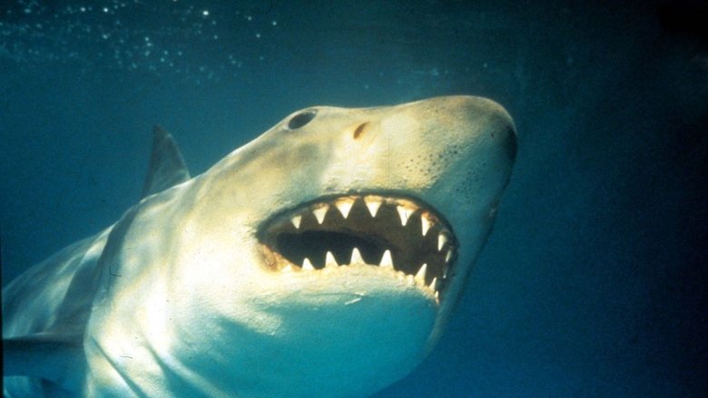 Backdrop image for movie Shark Terror: The Real Jaws