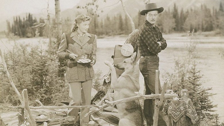 Backdrop image for movie Northwest Stampede