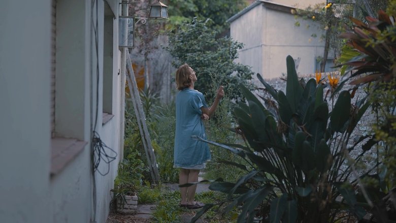 Backdrop image for movie En el limbo de los olvidados siempre es verano