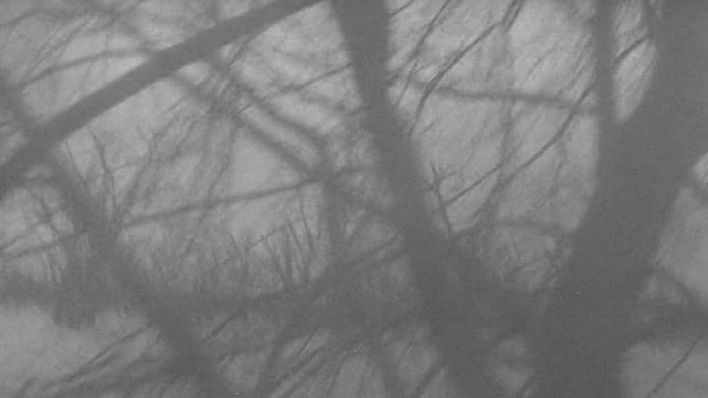 Backdrop image for movie Clay