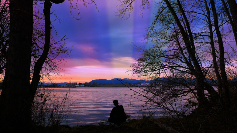 Backdrop image for movie My Fascination With The Butterfly Effect