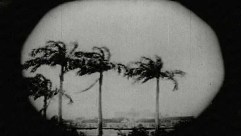 Backdrop image for movie Recife no Centenário da Confederação do Equador