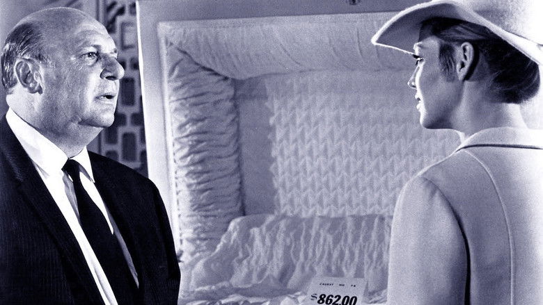 Backdrop image for movie Rogue's Gallery