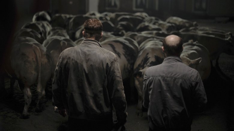 Backdrop image for movie Bullhead