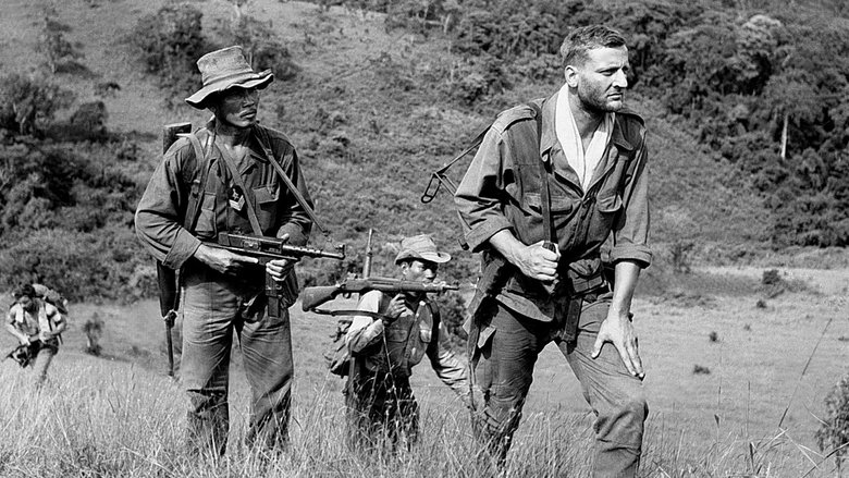 Backdrop image for movie The 317th Platoon