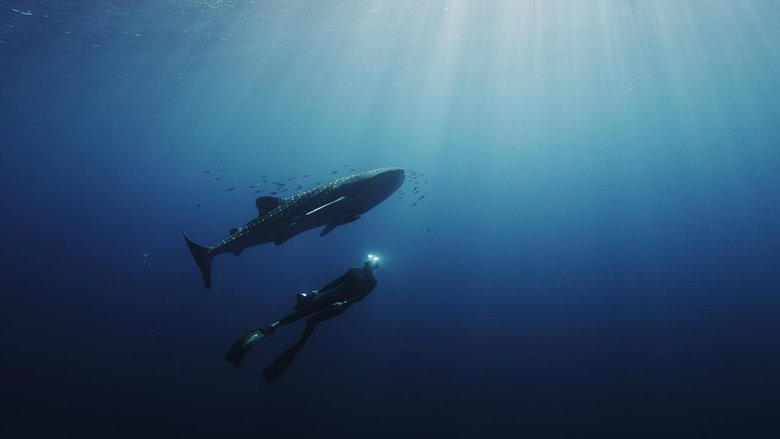 Backdrop image for movie Swimming with Legends