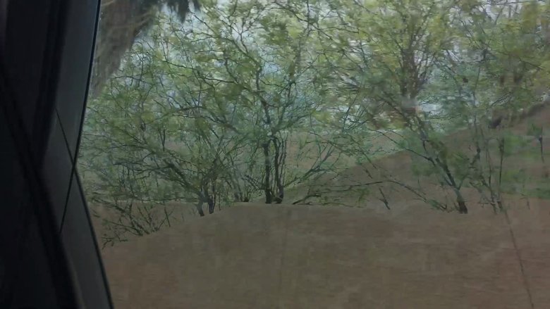 Backdrop image for movie Aridity Enclosure 1