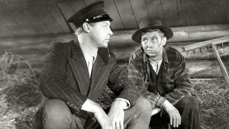 Backdrop image for movie Rakkaus on nopeampi Piiroisen pässiäkin