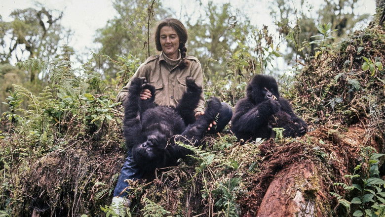Backdrop image for movie Dian Fossey: Ihr Leben für die Gorillas