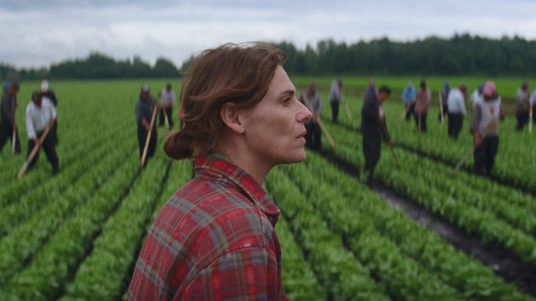 Backdrop image for movie Drunken Birds