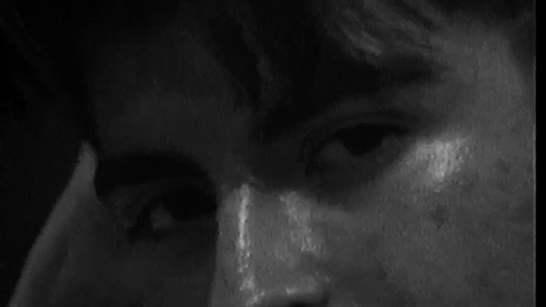 Backdrop image for movie Regular