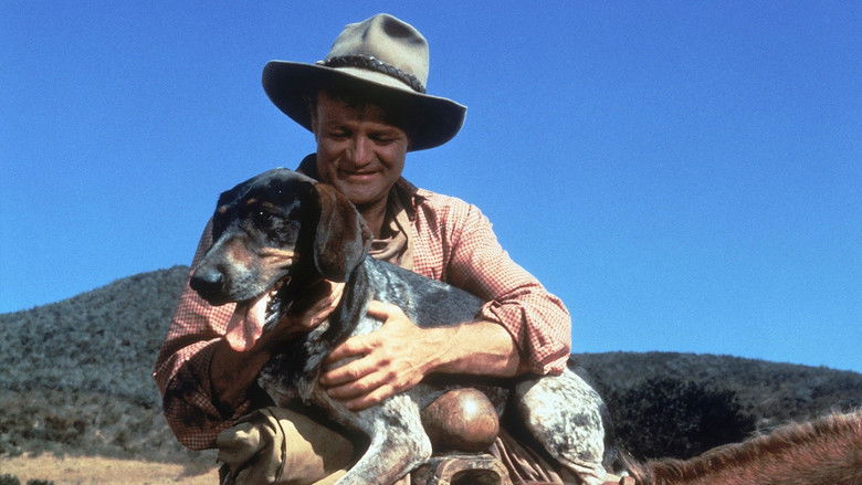 Backdrop image for movie Savage Sam