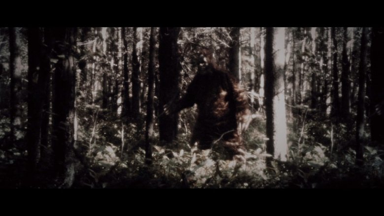 Backdrop image for movie Secrets of the Sasquatch