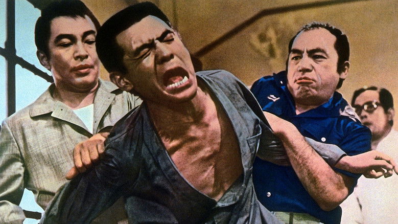 Backdrop image for movie The Viper Brothers Rage Again