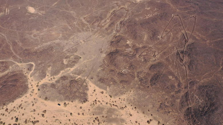 Backdrop image for movie The Mystery of the Desert Kites