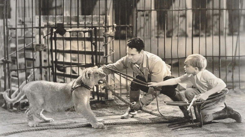 Backdrop image for movie The Big Cage