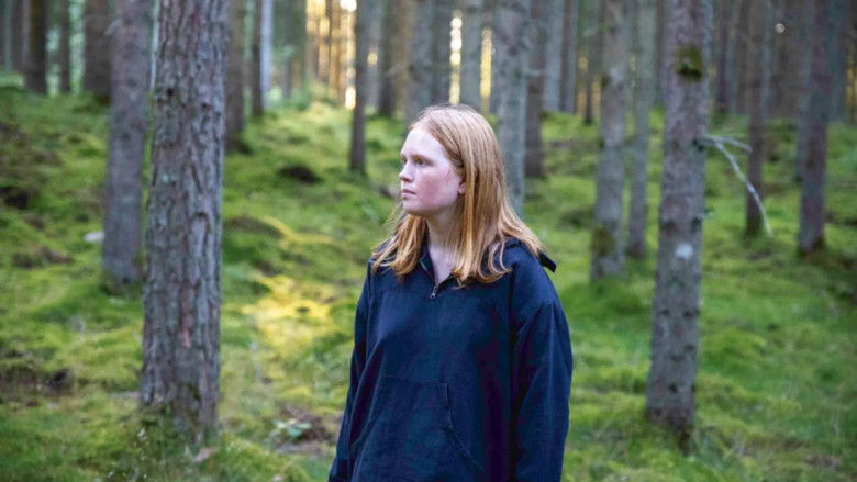 Backdrop image for movie Nipster