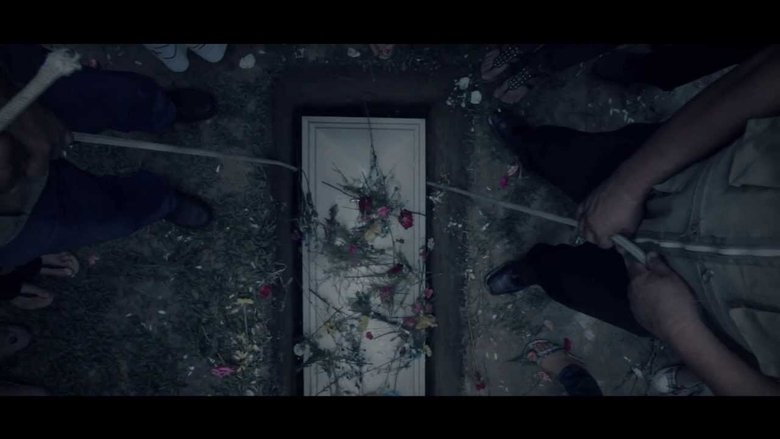 Backdrop image for movie General Cemetery